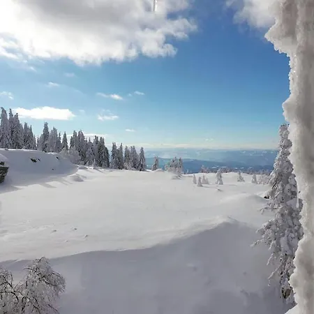 Kopaonik Zupa 505 Wellness & Spa Exterior foto