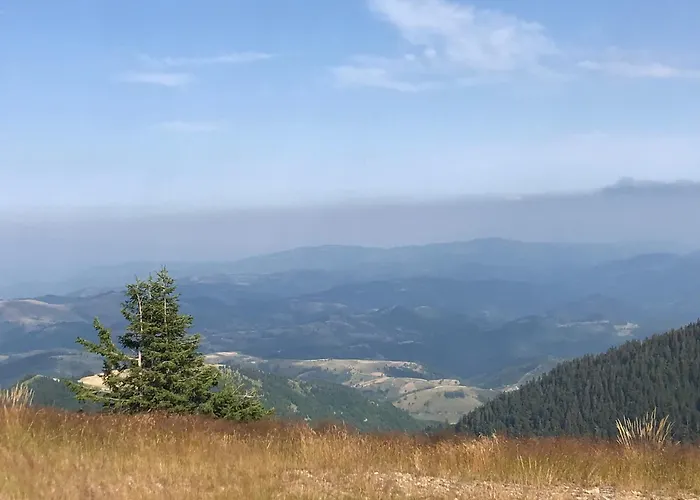 Kopaonik Zupa 505 Wellness & Spa