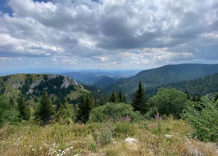 Kopaonik Zupa 505 Wellness & Spa